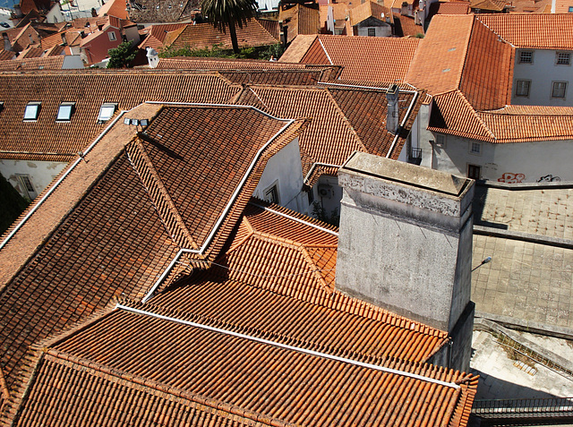 Coimbra roofscape