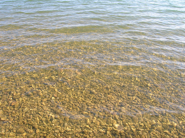 Dégradé de la réflexion vers la transparence de l'eau