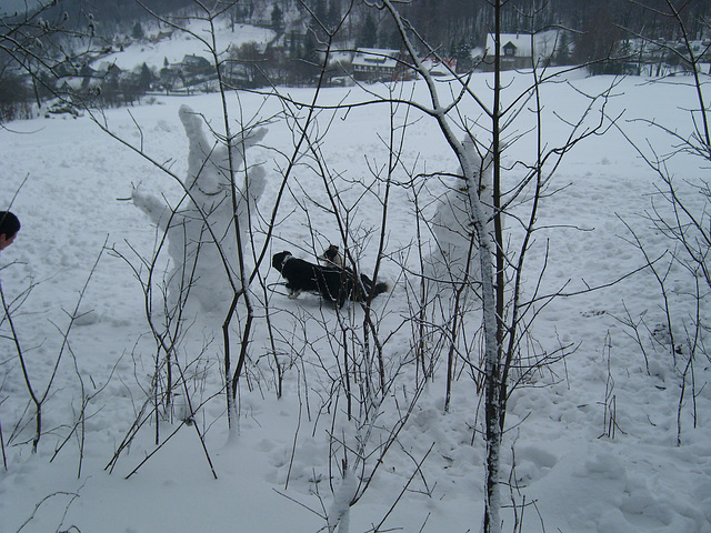 Osterhasen und Border Collies