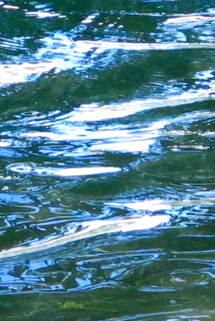 Eau, Parc de la Tête d'Or, Lyon, Rhône