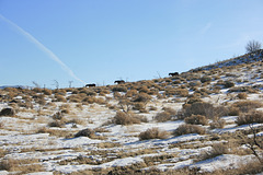 IMG_8025