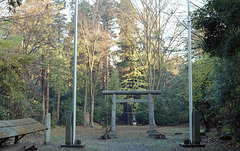 Precincts of a shrine