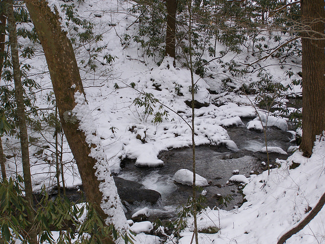 Walker Creek, Buncombe County, NC/USA