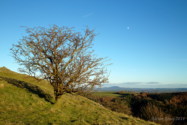 Earls Hill, Shropshire.