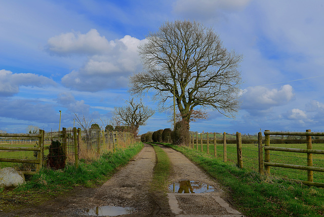 Brazenhill Lane, Haughton