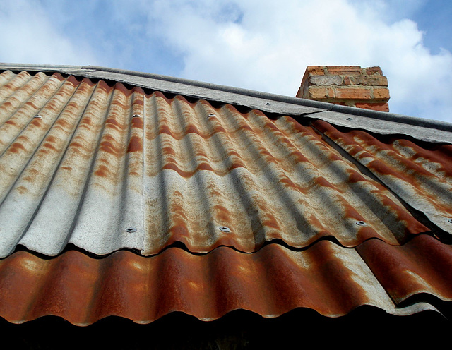 pettycoaty shed roof