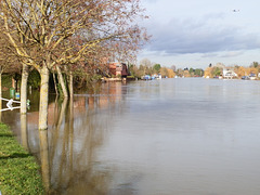 flood jan 2014 (1001)