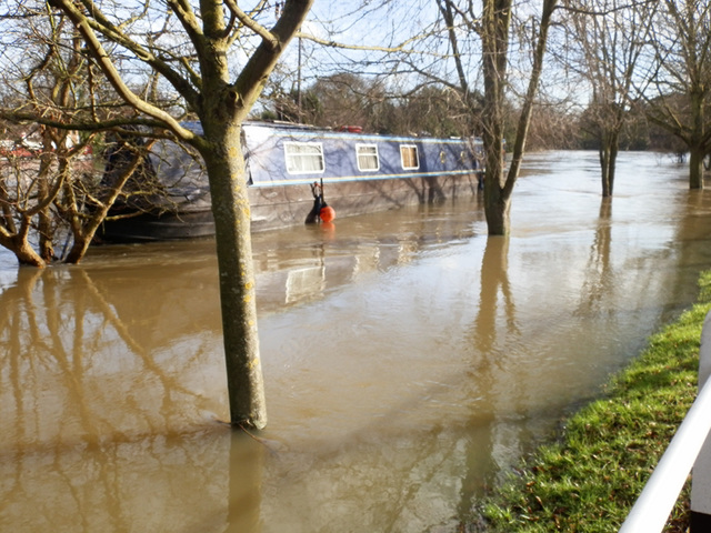 flood jan 2014 (1002)