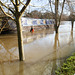 flood jan 2014 (1002)