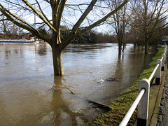 flood jan 2014 (1003)