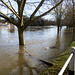 flood jan 2014 (1003)