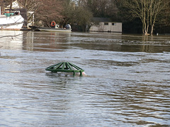 flood jan 2014 (1004)