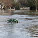 flood jan 2014 (1004)