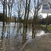 flood jan 2014 (1005)