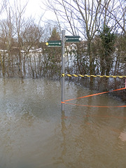 flood jan 2014 (1006)