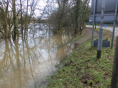 flood jan 2014 (1007)