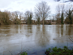 flood jan 2014 (1008)