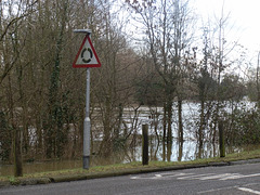 flood jan 2014 (1009)