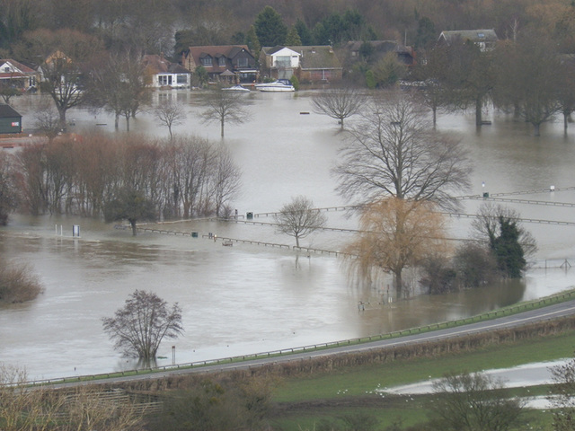 flood jan 2014 (1011)