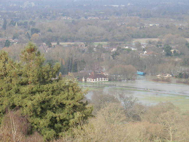 flood jan 2014 (1013)