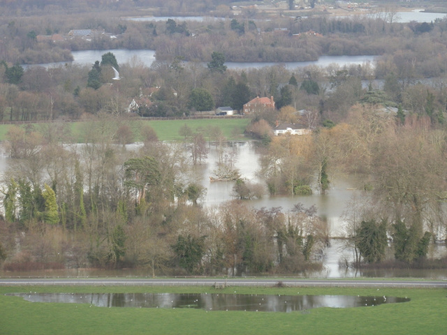 flood jan 2014 (1014)