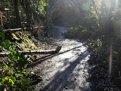 flood jan 2014 (1016)