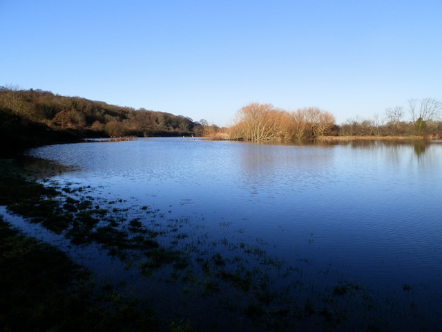 flood jan 2014 (1023)