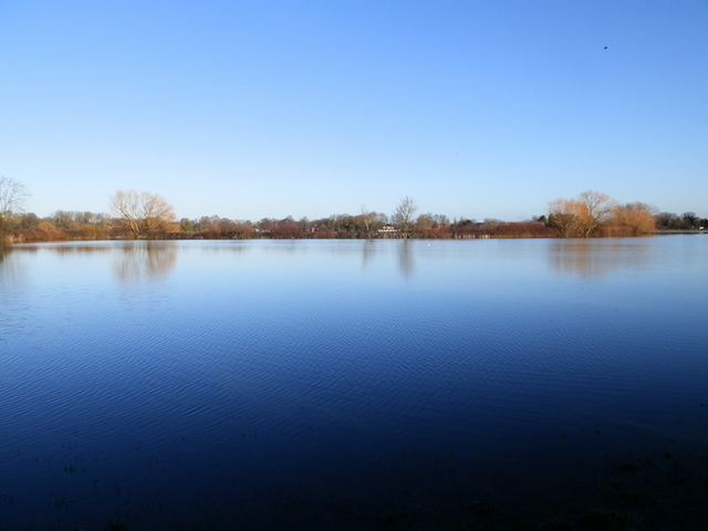 flood jan 2014 (1024)