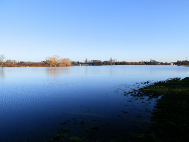 flood jan 2014 (1025)