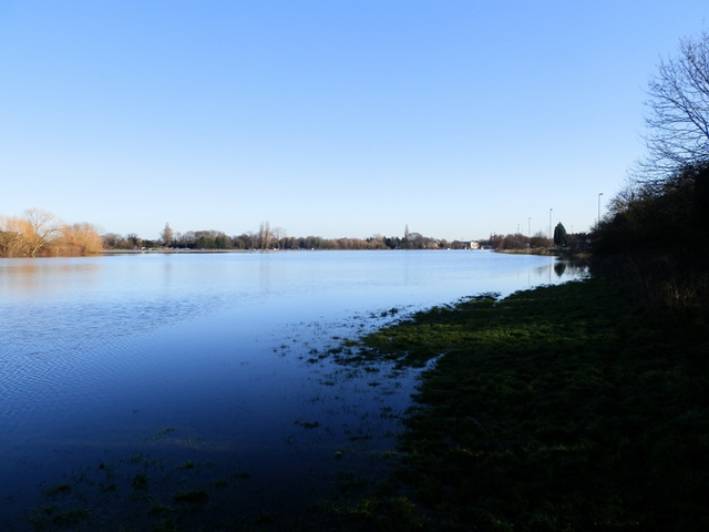 flood jan 2014 (1026)