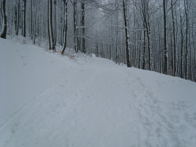 Oberlausitzer Bergweg