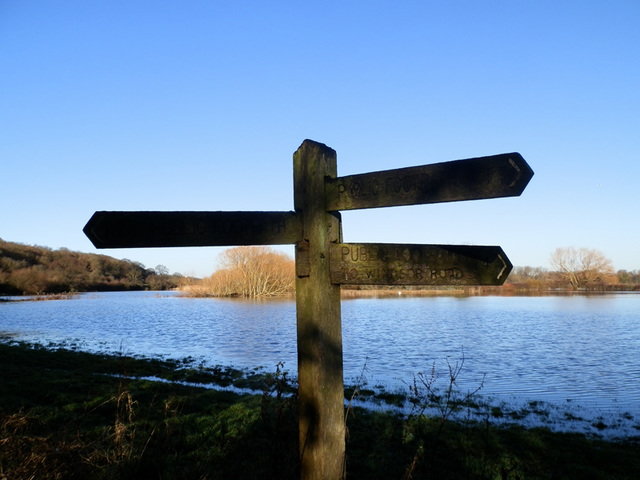 flood jan 2014 (1027)