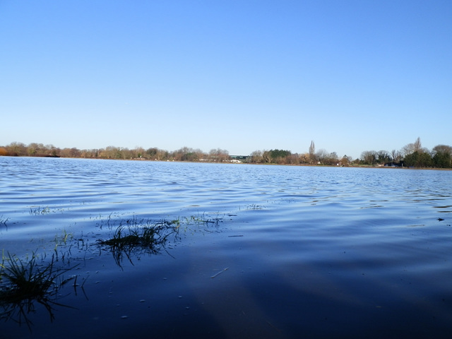 flood jan 2014 (1030)