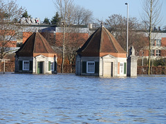 flood jan 2014 (1035)
