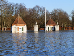 flood jan 2014 (1036)