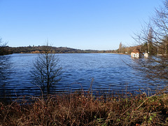 flood jan 2014 (1037)