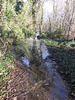 flood jan 2014 (1045)