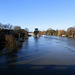 flood jan 2014 (1046)