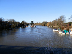 flood jan 2014 (1047)