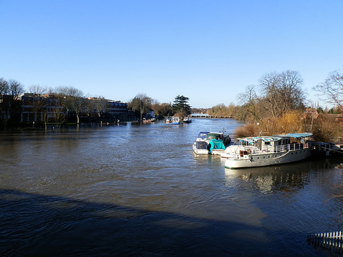 flood jan 2014 (1050)