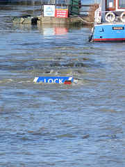 flood jan 2014 (1051)