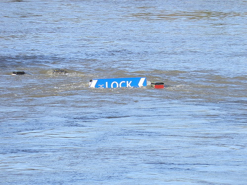 flood jan 2014 (1052)