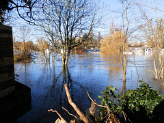 flood jan 2014 (1056)