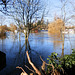 flood jan 2014 (1056)