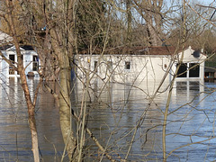flood jan 2014 (1057)