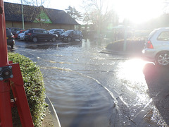 flood jan 2014 (1059)