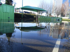 flood jan 2014 (1063)