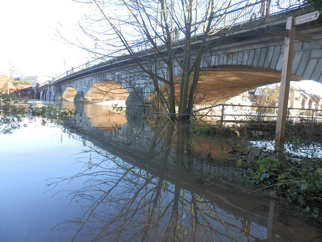 flood jan 2014 (1064)