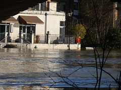 flood jan 2014 (1065)