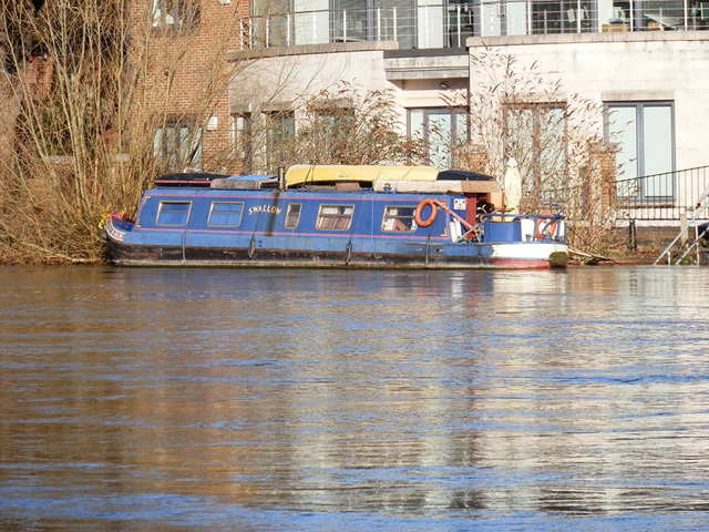 flood jan 2014 (1066)